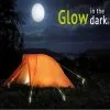 Berger Aringhe Di Plastica Che Brillano Al Buio, Confezione Da 5 1 Berger Aringhe Di Plastica Che Brillano Al Buio, Confezione Da 5 -Vendite Tende da campeggio 15482 142750
