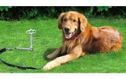 Porta Guinzaglio Peggy Peg PetPeg Per Animali