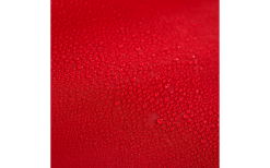 Regatta Malawi 2 Persone Pop Up Festival Tenda Rosso 12 Regatta Malawi 2 Persone Pop Up Festival Tenda Rosso -Vendite Tende da campeggio 606407 4359147