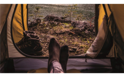 Robens Elk River Tunnel Tent Verde Vigneto 1 Persona 15 Robens Elk River Tunnel Tent Verde Vigneto 1 Persona -Vendite Tende da campeggio 669735 4623330