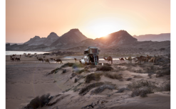 Tenda A Tetto Gordigear Per 2 Persone Con Area Di Stoccaggio 140 X 240 Cm Grigio -Vendite Tende da campeggio 737321 4968308