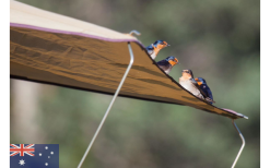 Tenda Da Tetto Gordigear 140 Plus Per 2 Persone Con Tenda Da Sole 140 X 320 Cm Grigio -Vendite Tende da campeggio 737393 4968680